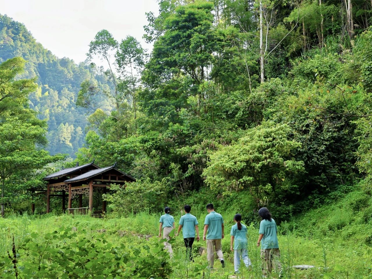 福州理工学院“青力助农，筑梦促兴”实践队：一堂行走在美丽乡村的大思政课