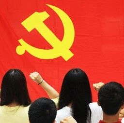 更好地提高新发展党员质量